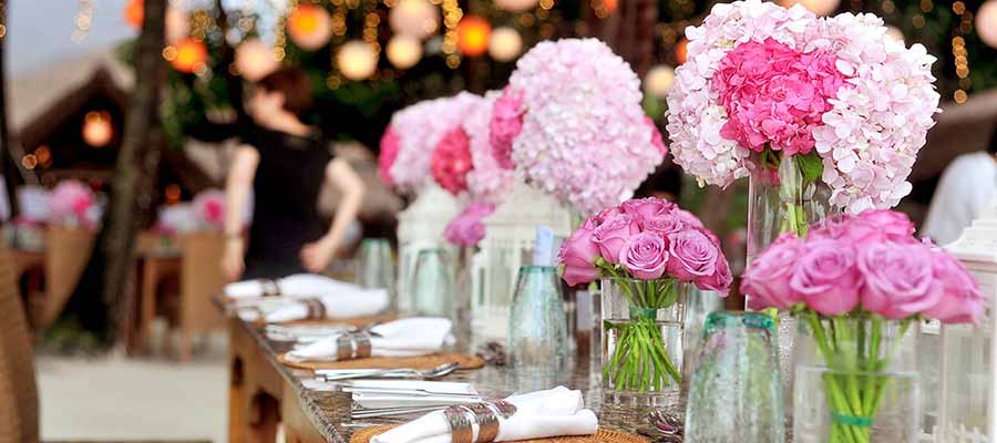 Find the Perfect Wedding Vendor & Supplier-Blog