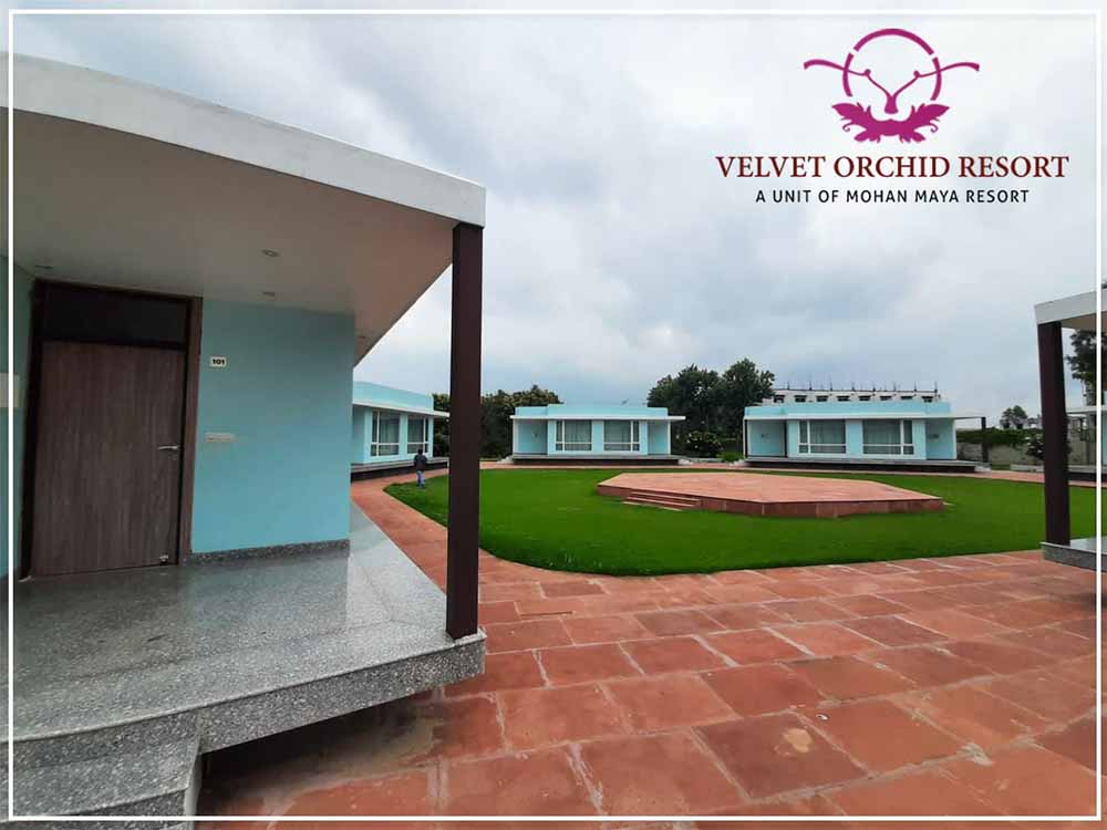 Velvet Orchid Resort Gallery 29